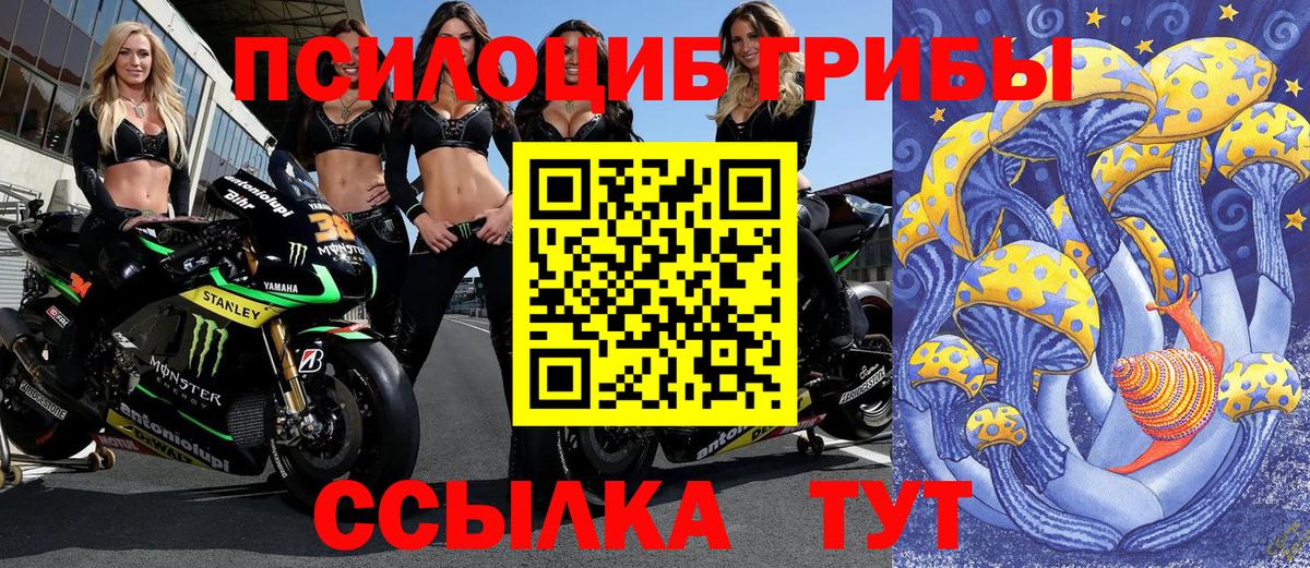 Галлюциногенные грибы Magic Shrooms Саранск