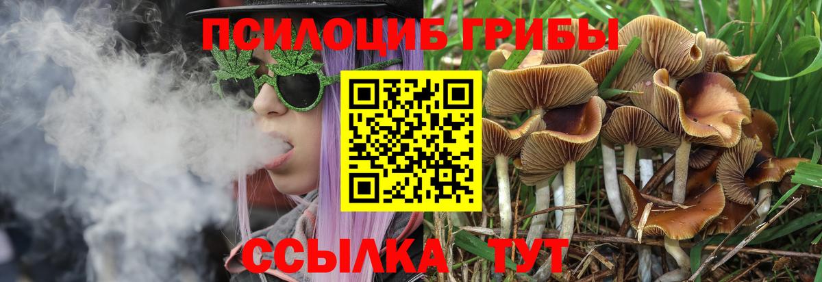 Галлюциногенные грибы прущие грибы  Вход с VPN  Саранск 